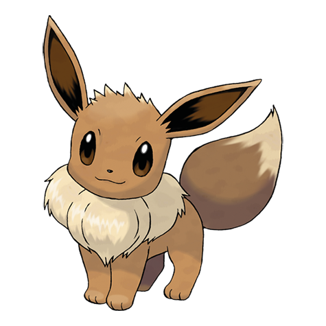 Lynn is an Eevee